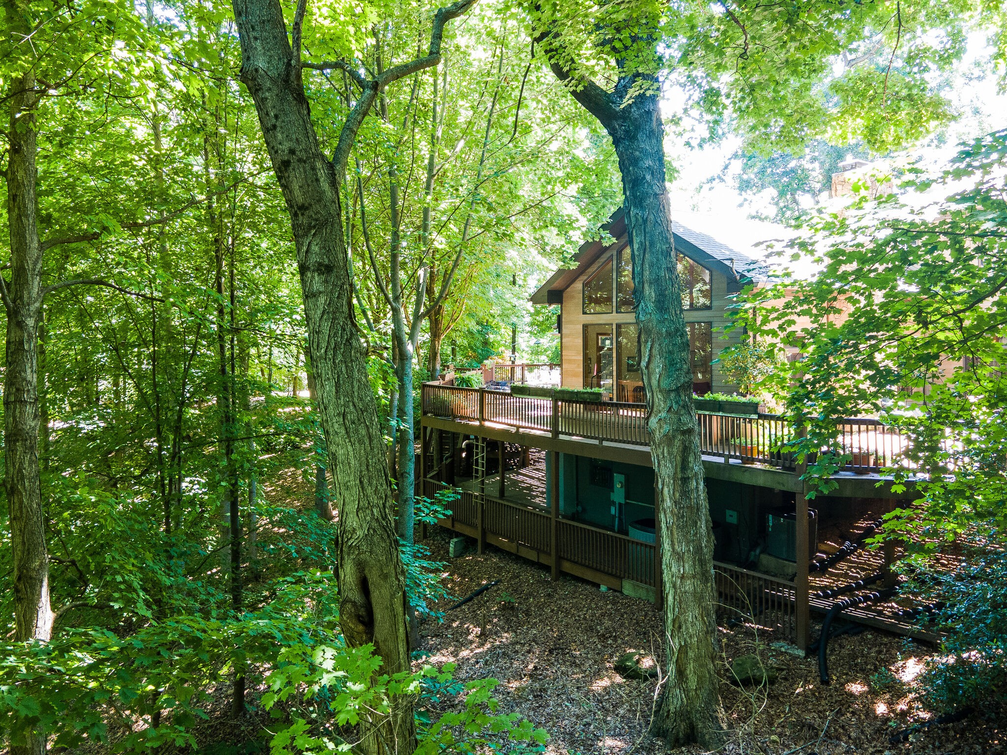 438 Grayson Drive Nashville, TN 37205 - Photo 24 of 36 a front view of a house with a garden