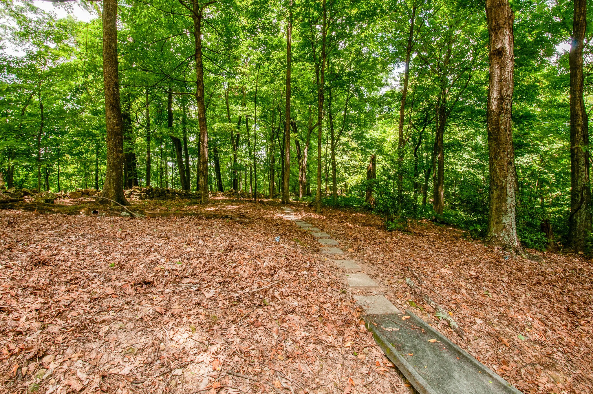 438 Grayson Drive Nashville, TN 37205 - Photo 35 of 36 a big yard with lots of green space and deers