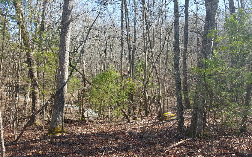 14 Forest Hill Drive Blue Ridge, GA 30513 - Photo 1 of 1 Main View