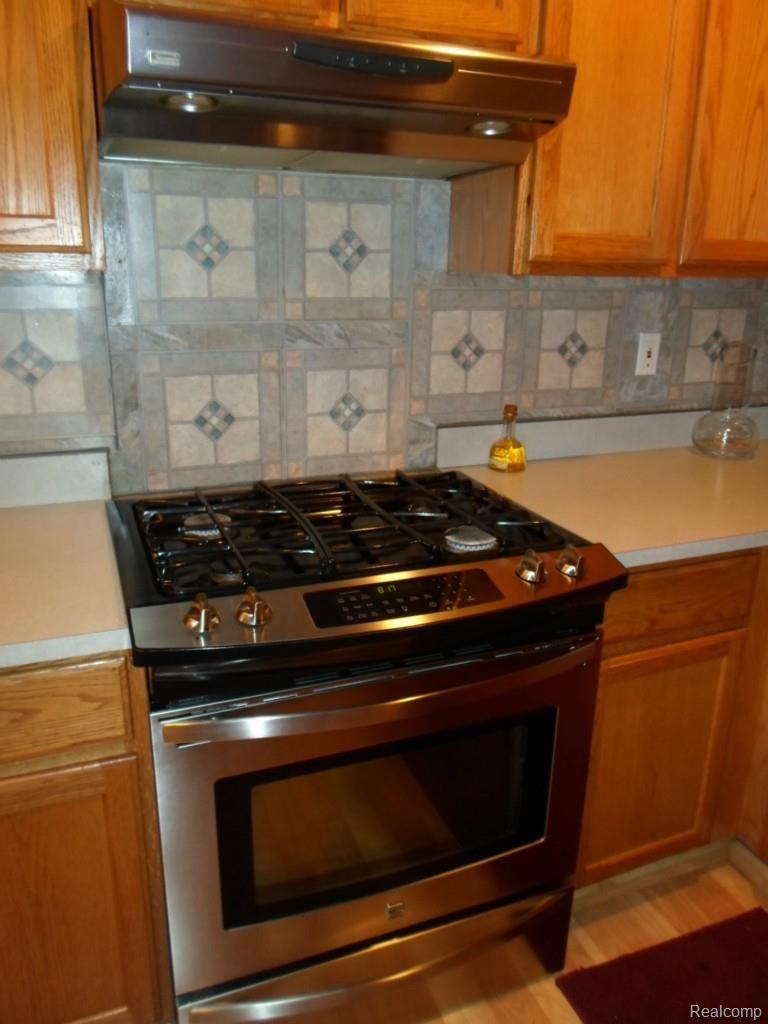 16647 Country Ridge Lane Macomb, MI 48044 - Photo 21 of 28 SAM_1504.jpg