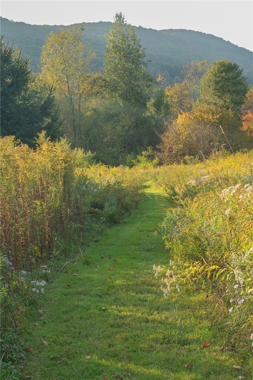 2700 County Road 1 Andes, NY 13731 - Photo 36 of 43