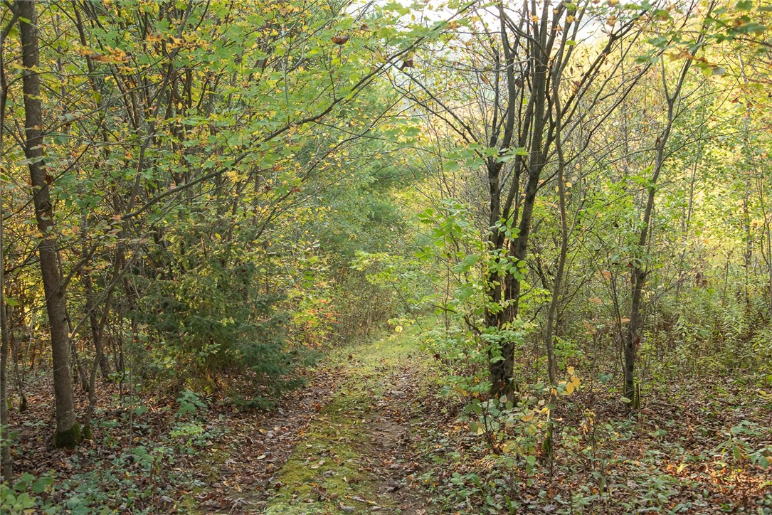 2700 County Road 1 Andes, NY 13731 - Photo 37 of 43