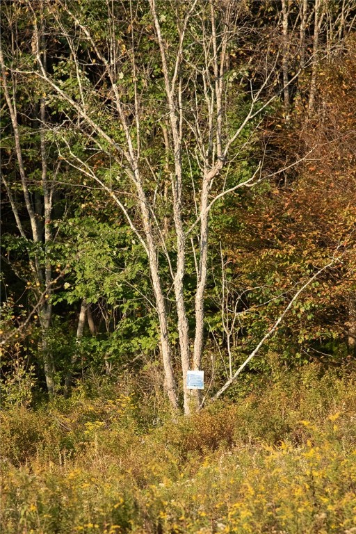 2700 County Road 1 Andes, NY 13731 - Photo 38 of 43