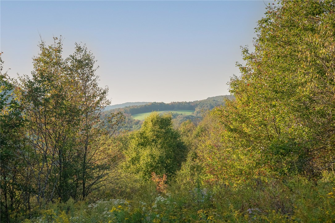 2700 County Road 1 Andes, NY 13731 - Photo 39 of 43