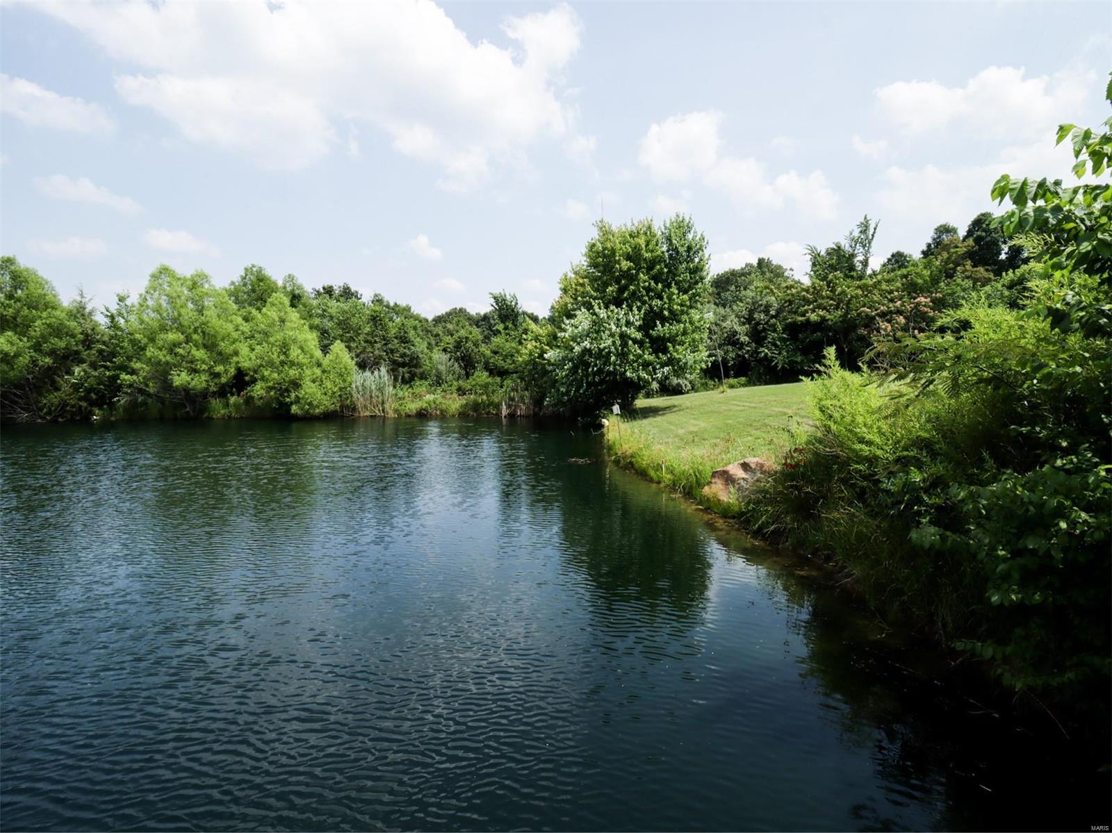 1338 Wagon Creek Road Creal Springs, IL 62922 - Photo 7 of 45