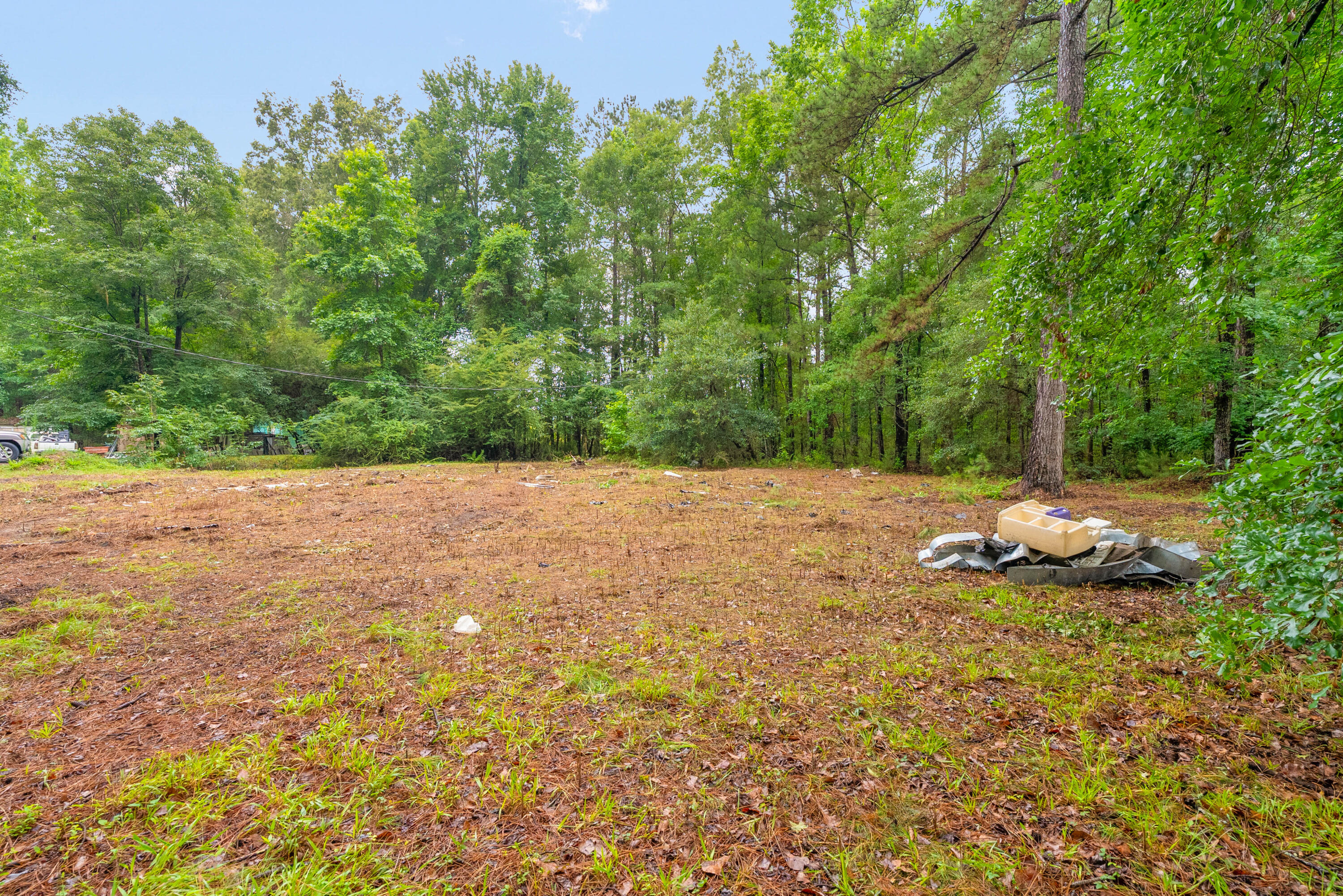 124 Maple Street Ridgeville, SC 29472 - Photo 3 of 12