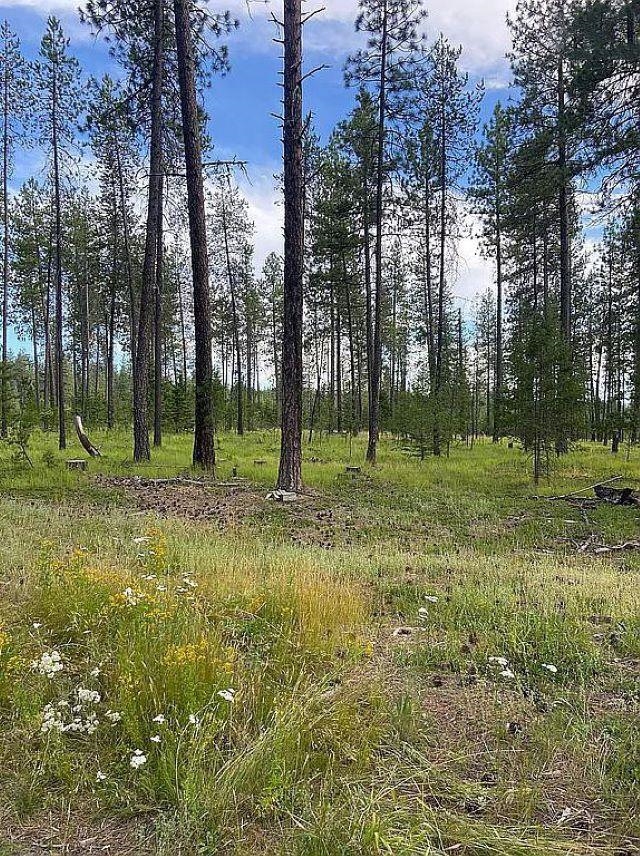151-xx East Oregon Road, Unit PARCEL 49111 9068 Elk, WA 99009 - Photo 1 of 11