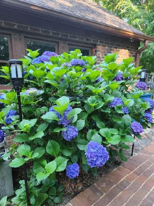 147 Lakeview Road Mocksville, NC 27028 - Photo 4 of 47 Gallery Image 4