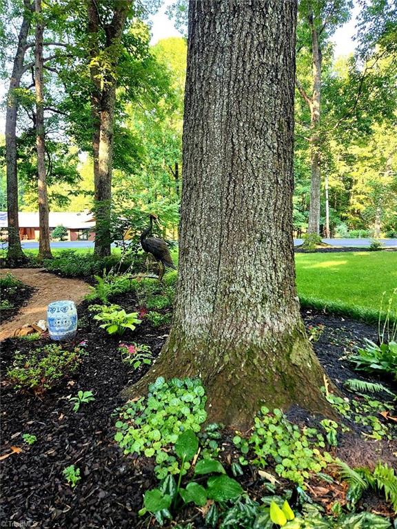 147 Lakeview Road Mocksville, NC 27028 - Photo 8 of 47 Gallery Image 8