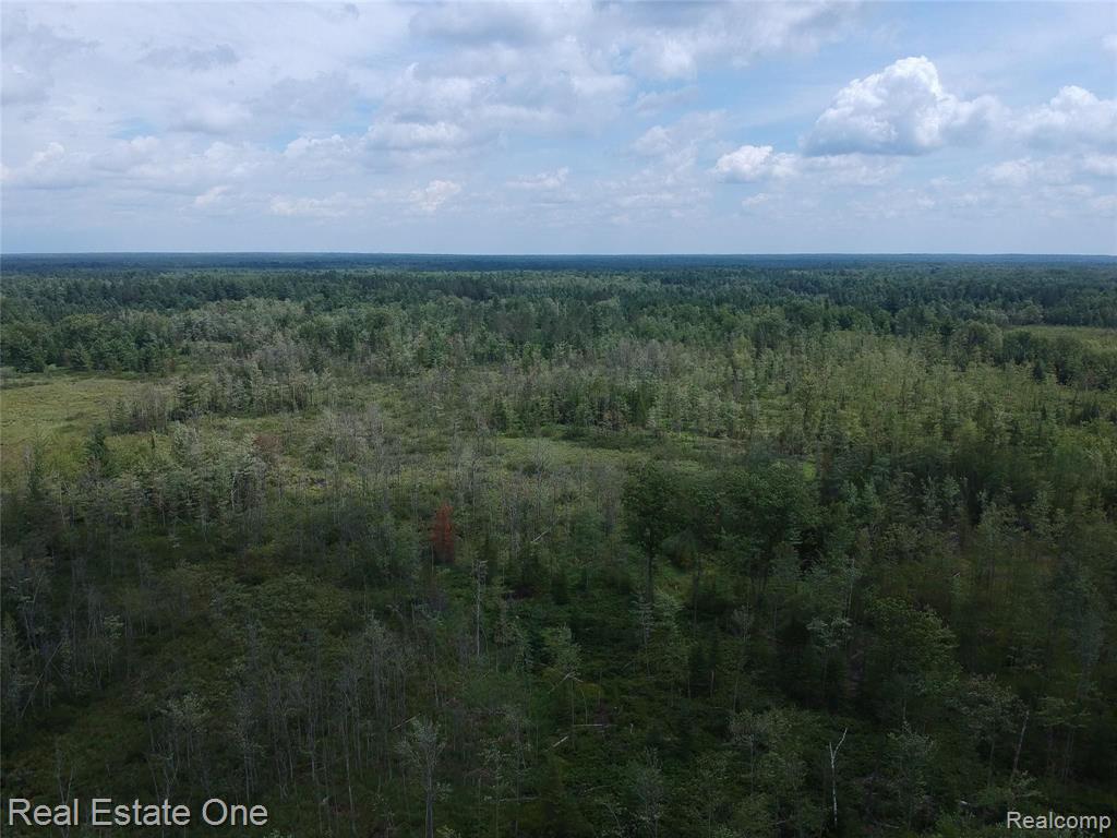 0 South Morrison Road West Branch, MI 48661 - Photo 21 of 38
