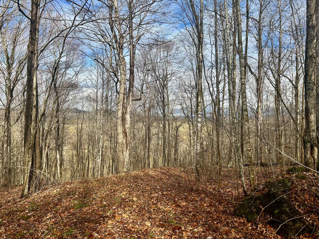 13.41-ac Kimberlin Road, Unit 15 Rural Retreat, VA 24368 - Photo 12 of 17 Gallery Image 12