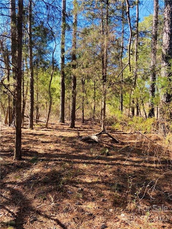 0 West North Corner Road, Unit 2 Lancaster, SC 29720 - Photo 3 of 10 a view of outdoor space with seating area
