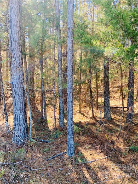 0 West North Corner Road, Unit 2 Lancaster, SC 29720 - Photo 9 of 10 a view of a forest filled with trees
