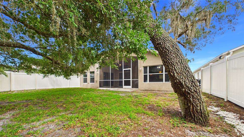 11654 Leda Lane New Port Richey, FL 34654 - Photo 37 of 37