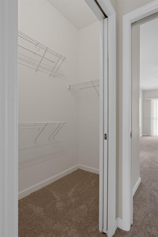 12265 Fulmar Road Weeki Wachee, FL 34614 - Photo 32 of 55