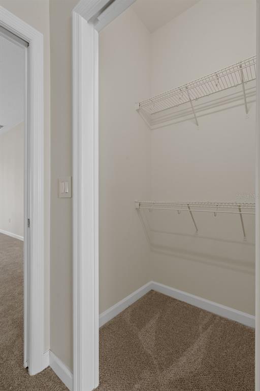 12265 Fulmar Road Weeki Wachee, FL 34614 - Photo 33 of 55