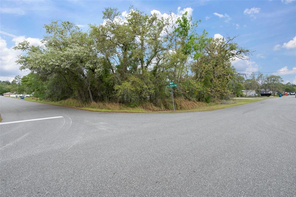 12265 Fulmar Road Weeki Wachee, FL 34614 - Photo 54 of 55