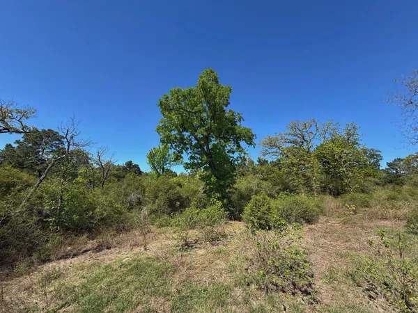 $157,350 | 2926 Buffalo Tx 75831, Buffalo, TX 75831