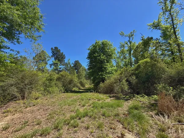 $157,350 | 2926 Buffalo Tx 75831, Buffalo, TX 75831