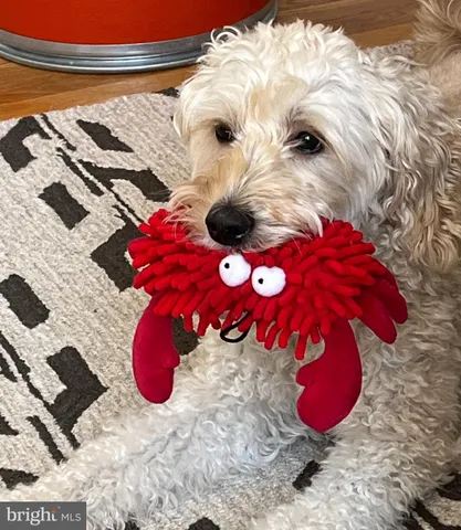 a view of a cafe with a lot of table and chairs in patio