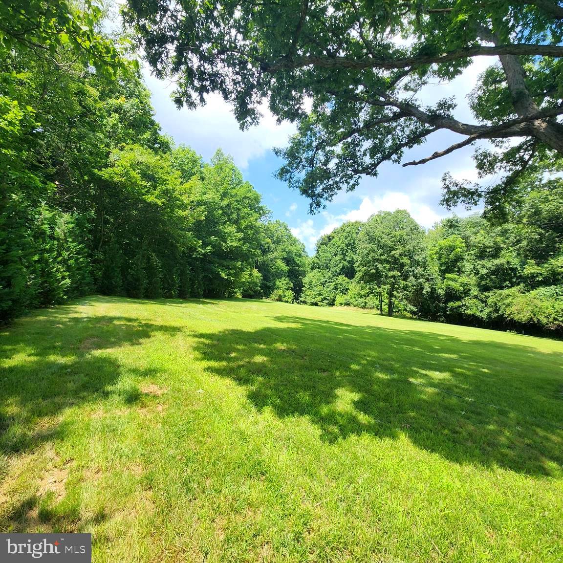 17410 Queen Anne Road Upper Marlboro, MD 20774 - Photo 5 of 82 a view of green field with large trees