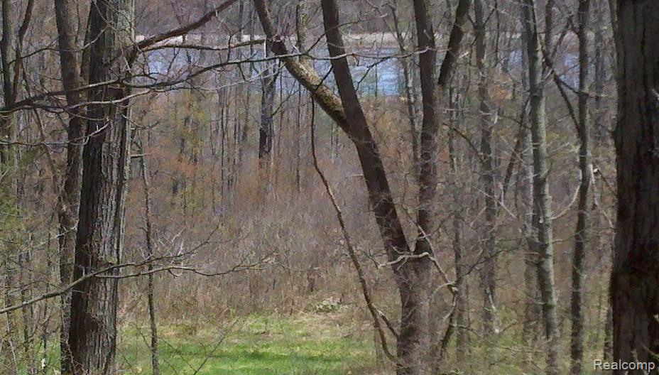 V/l V/l Doyle Road Pinckney, MI 48169 - Photo 7 of 24