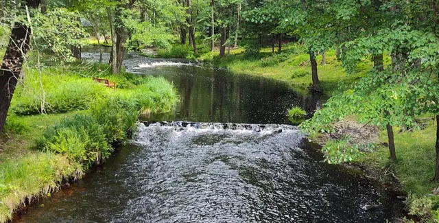 a backyard of a house with lots of green space