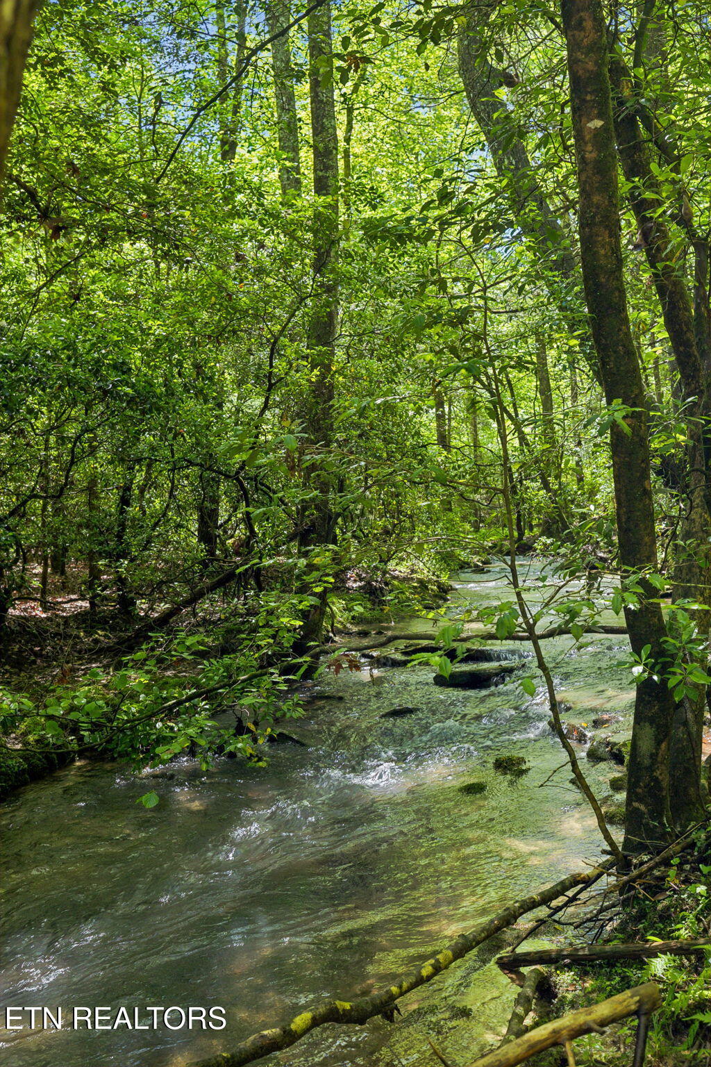 1460 Big Neck Road Grandview, TN 37337 - Photo 15 of 32 Creek