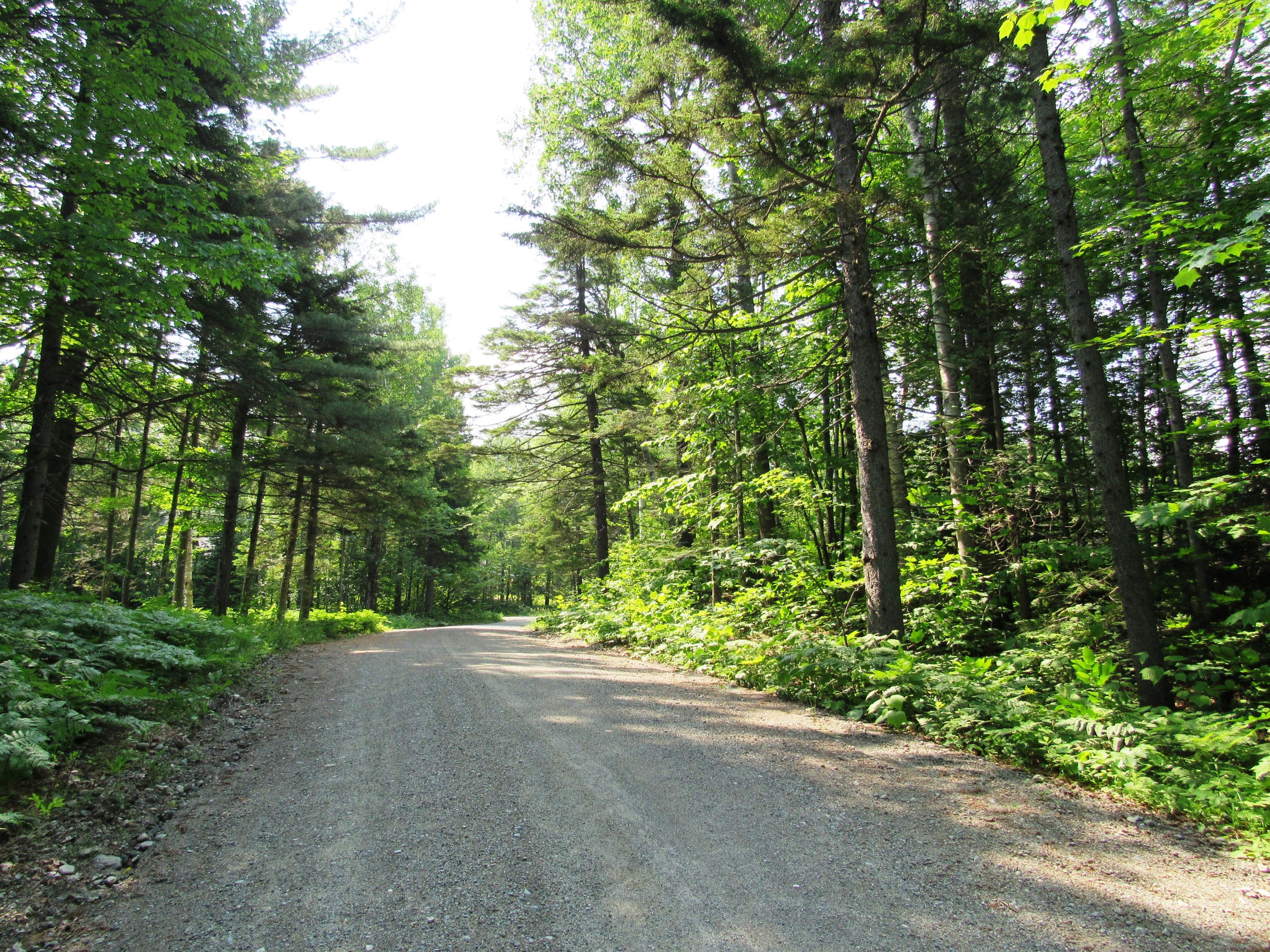 2014 Brook Falls Road Kingfield, ME 04947 - Photo 2 of 8 Quiet and Private