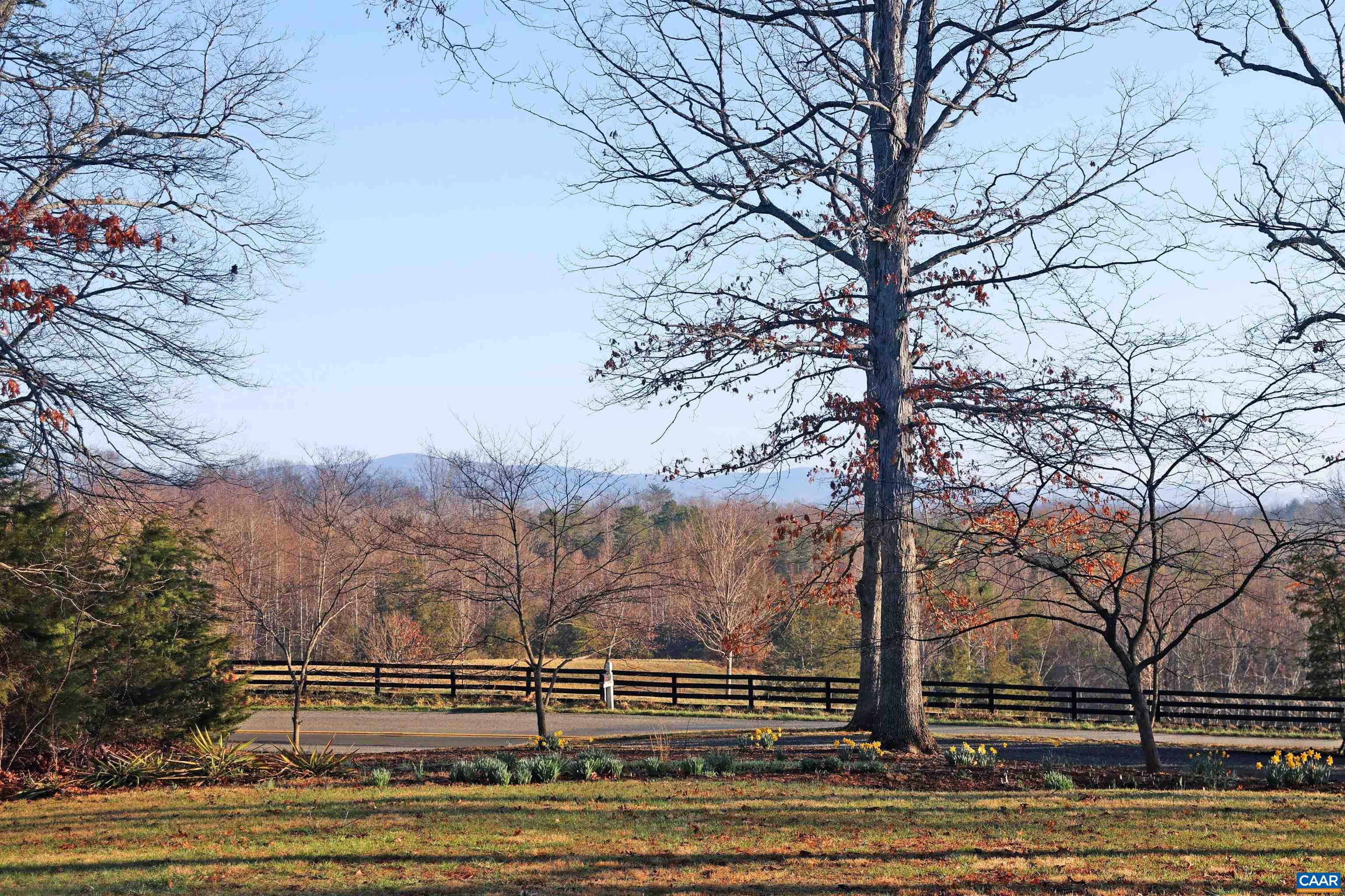2051 Buck Mountain Road Free Union, VA 22940 - Photo 3 of 44 Gallery Image 3