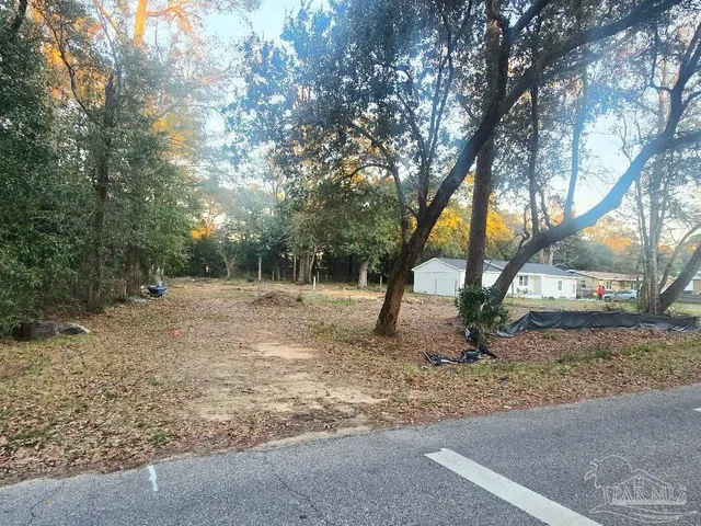 a view of a tree in the middle of a yard