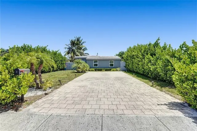 a view of a yard with plants