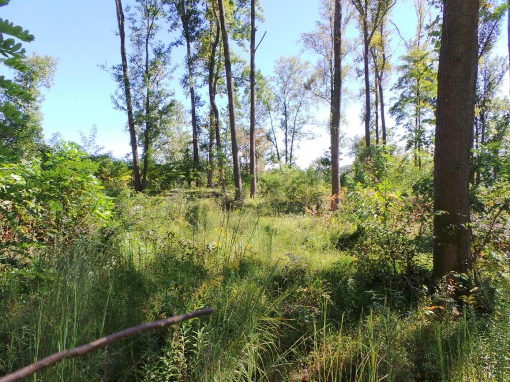 Lot 7 Rustic Way Kingsport, TN 37664 - Photo 1 of 10 Photo 1
