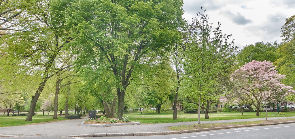 61 Thatcher Street, Unit 3 Brookline, MA 02446 - Photo 22 of 22