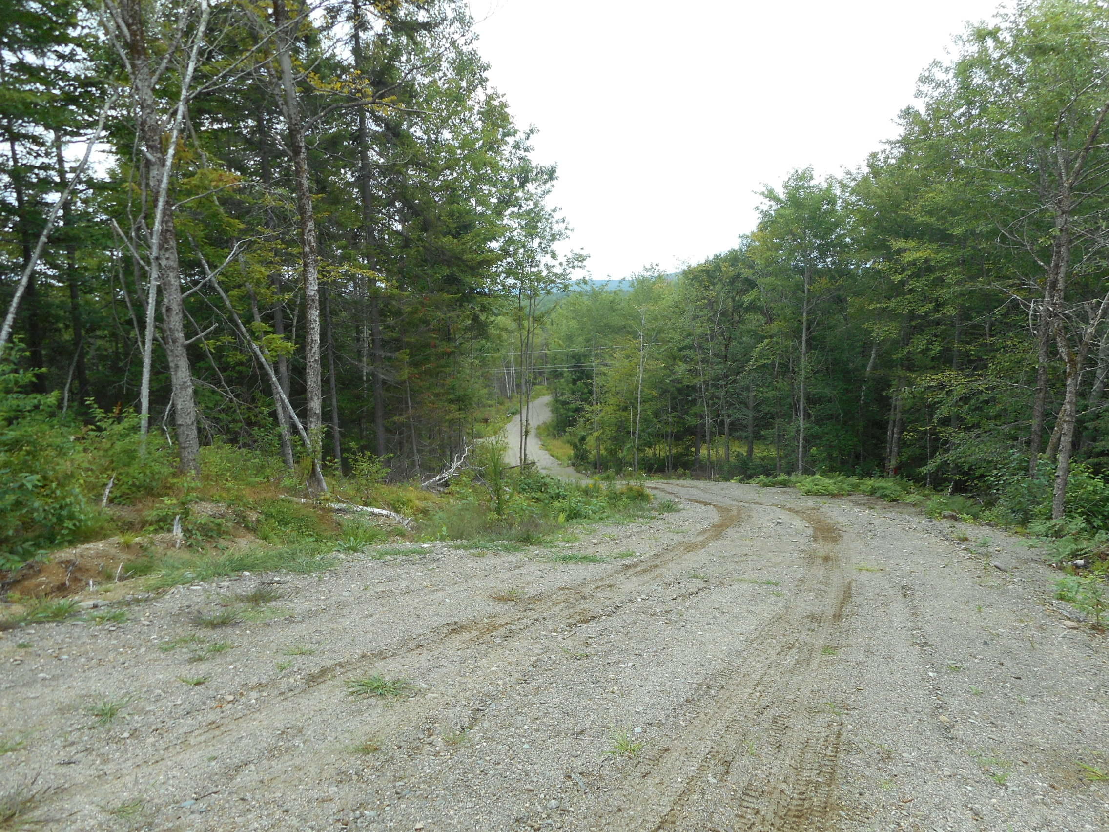 Lot 8-31 Keene Road Lincoln, ME 04457 - Photo 4 of 7 DSCN2718