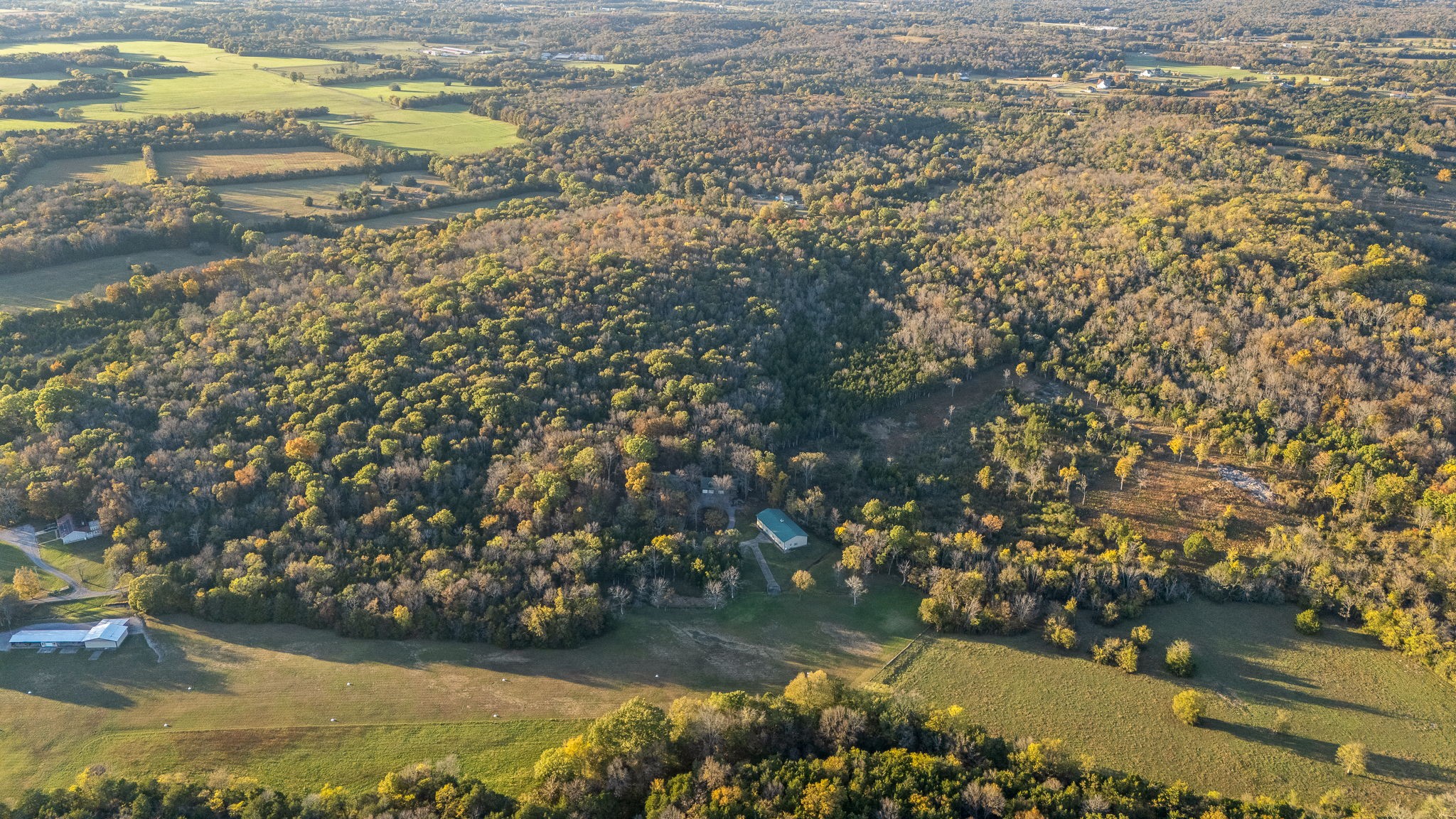 9203 Cobb Road Christiana, TN 37037 - Photo 16 of 96