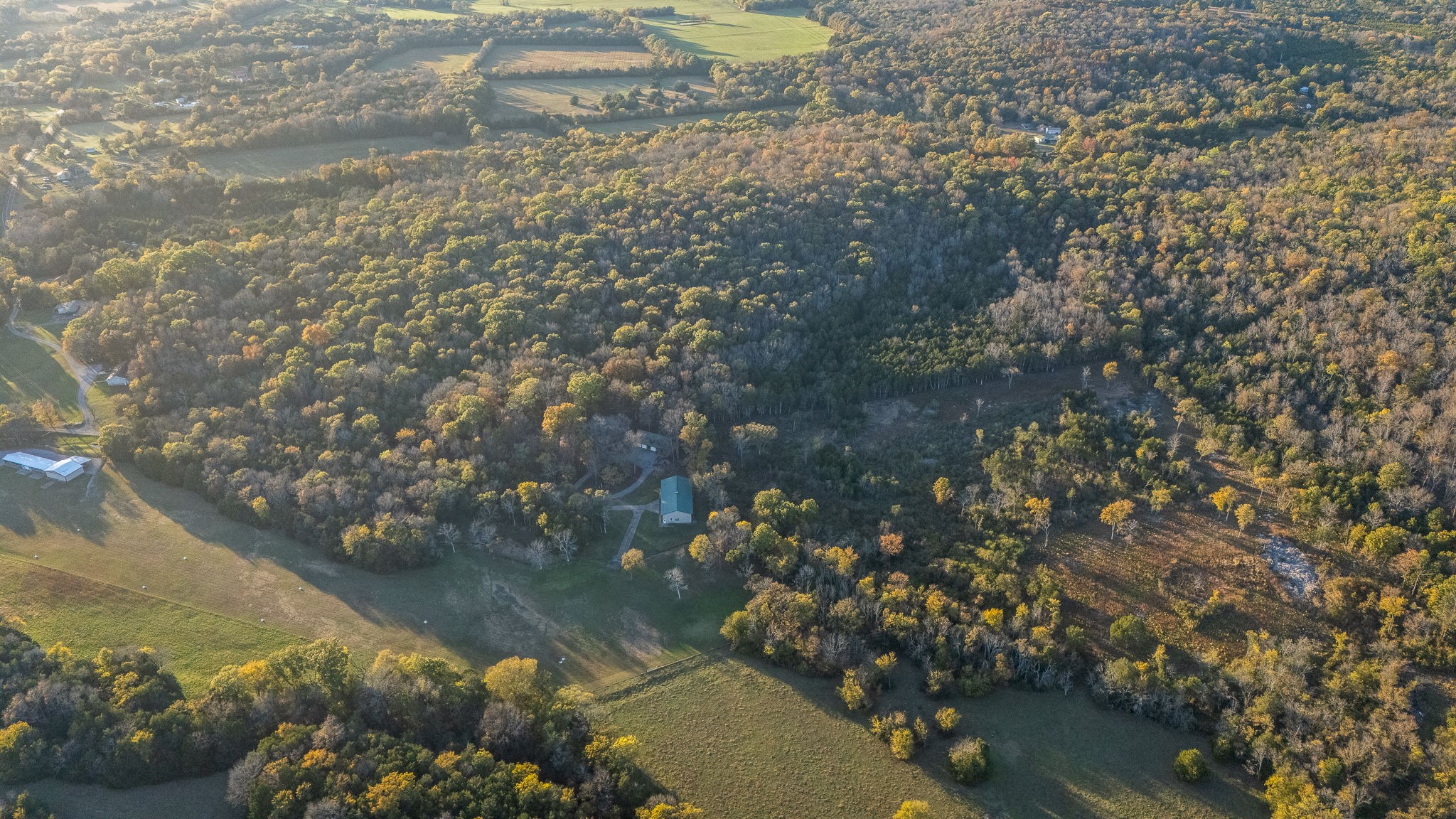 9203 Cobb Road Christiana, TN 37037 - Photo 17 of 96