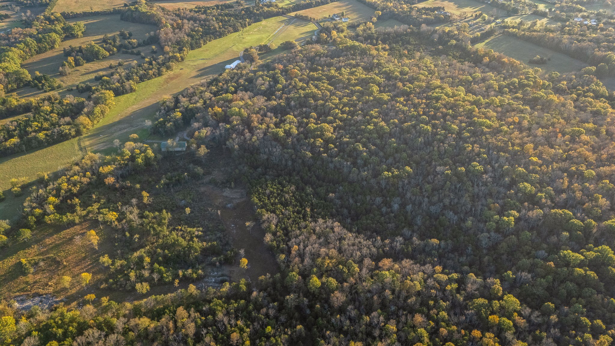 9203 Cobb Road Christiana, TN 37037 - Photo 18 of 96