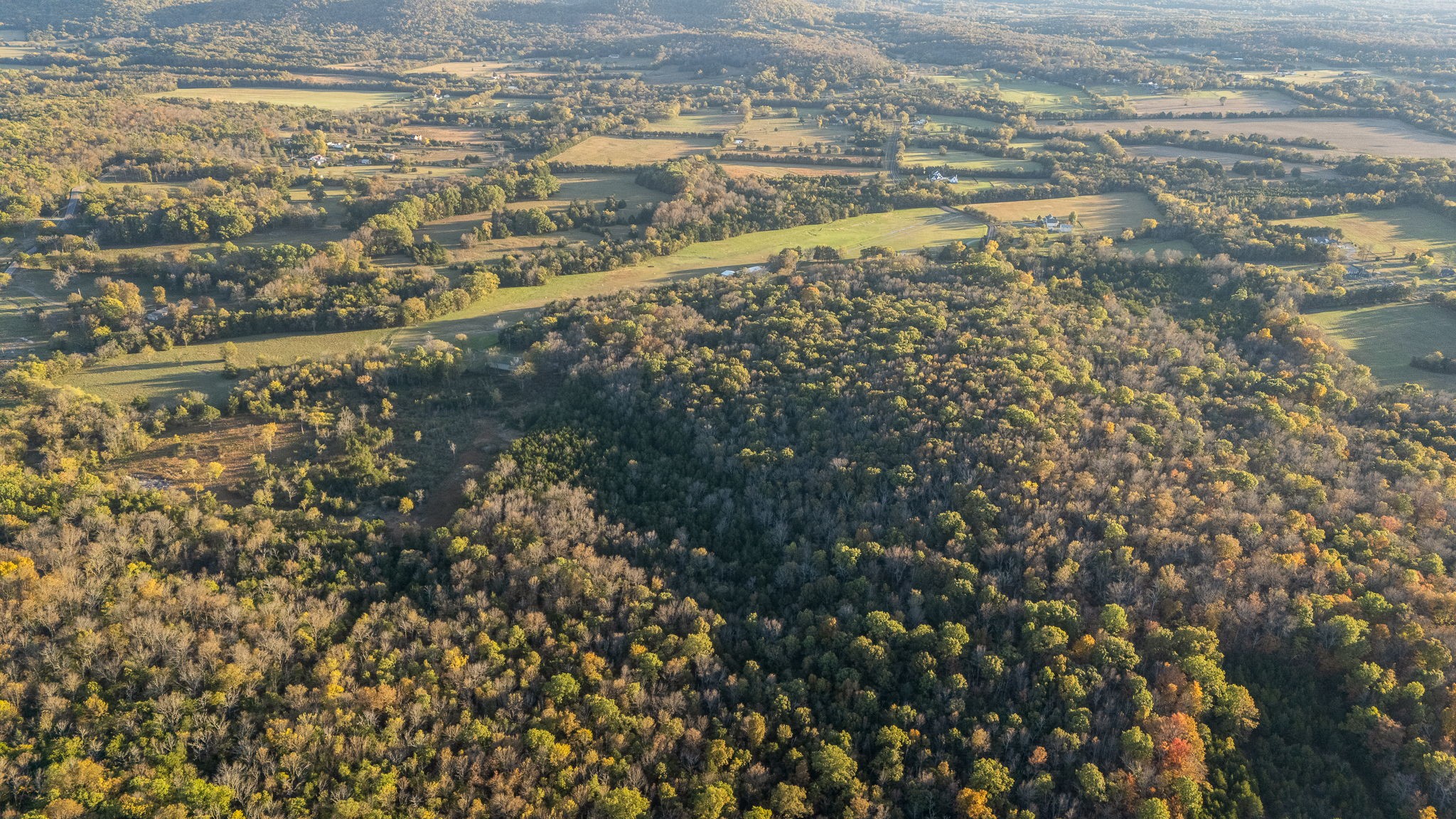 9203 Cobb Road Christiana, TN 37037 - Photo 20 of 96 a view of ocean view