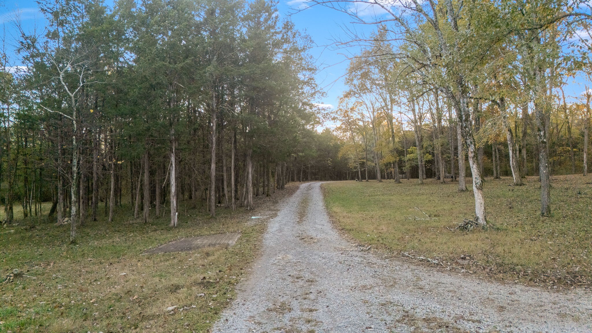 9203 Cobb Road Christiana, TN 37037 - Photo 34 of 96 a view of a backyard with large trees
