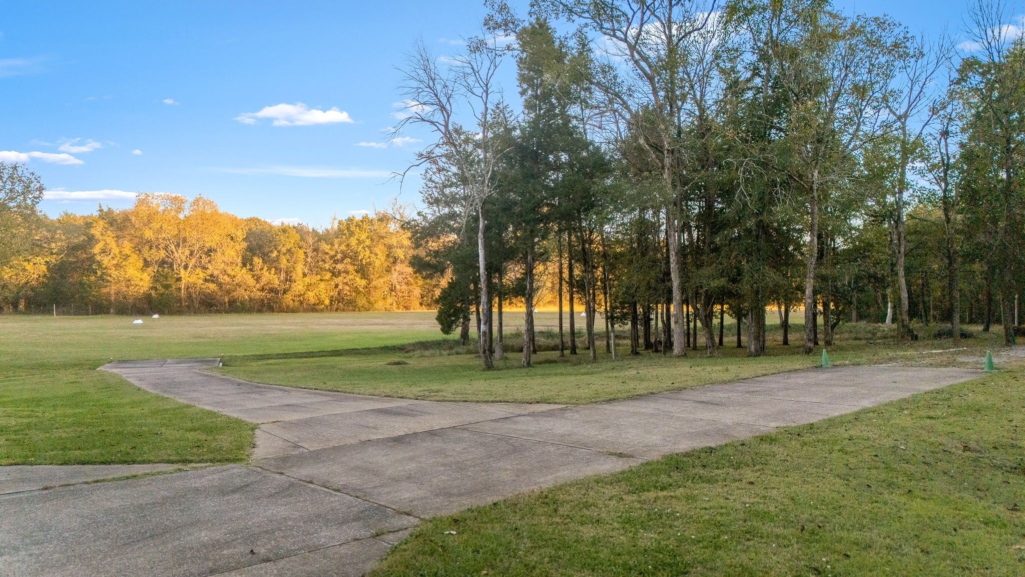 9203 Cobb Road Christiana, TN 37037 - Photo 90 of 96 a view of a park