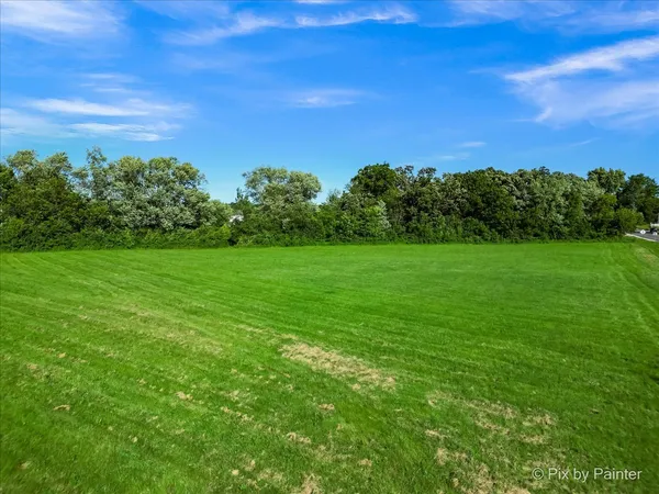 a view of a grassy field with trees