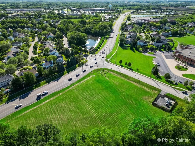 a green field with lots of plants