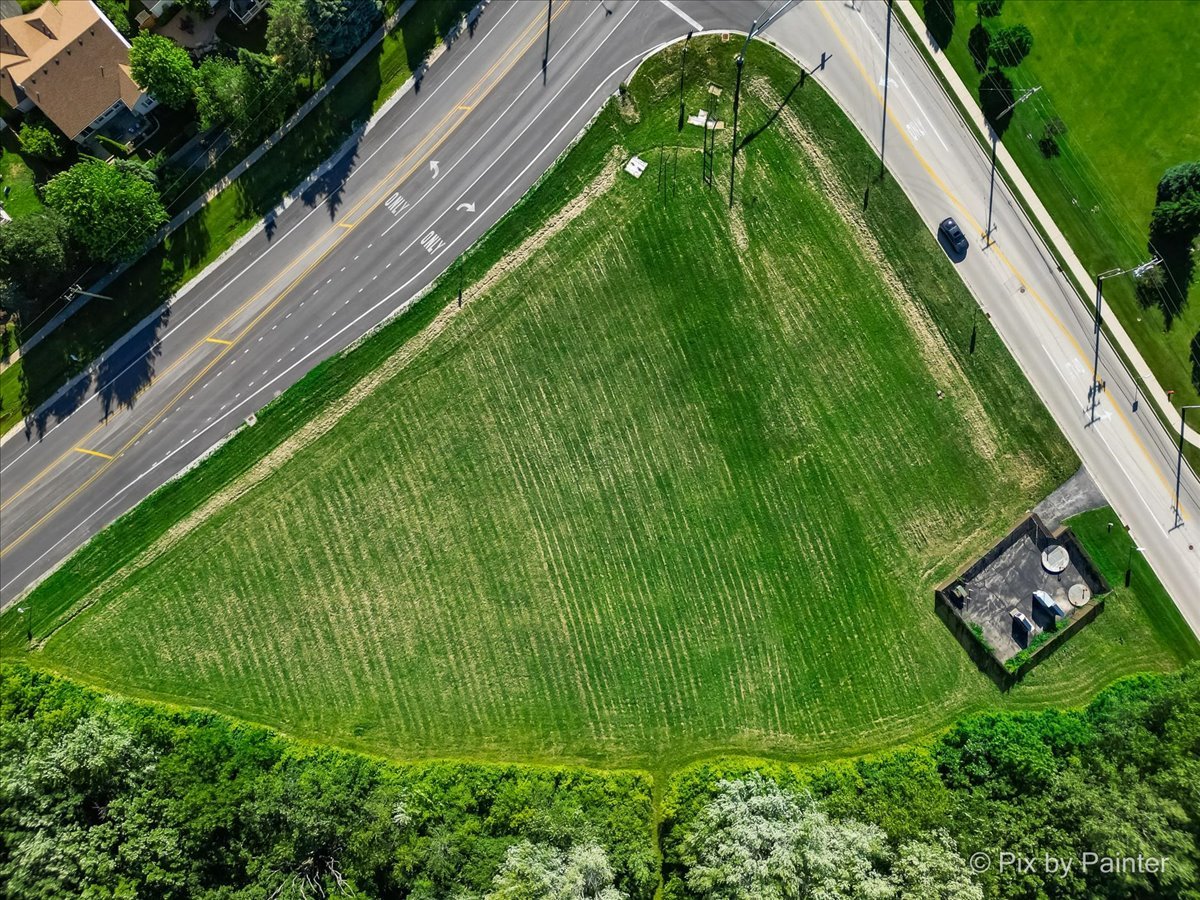 Lot 009 Huntley Road Carpentersville, IL 60110 - Photo 8 of 10 a green field with lots of plants