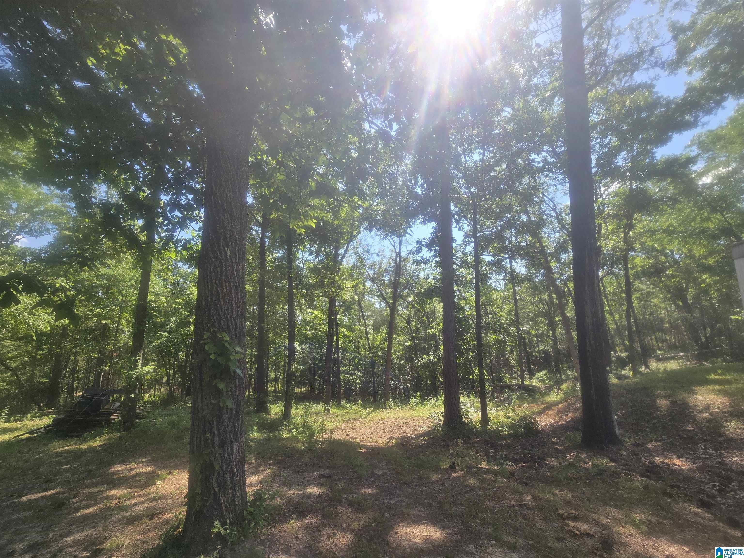135 Big Chef Road Ohatchee, AL 36271 - Photo 25 of 27