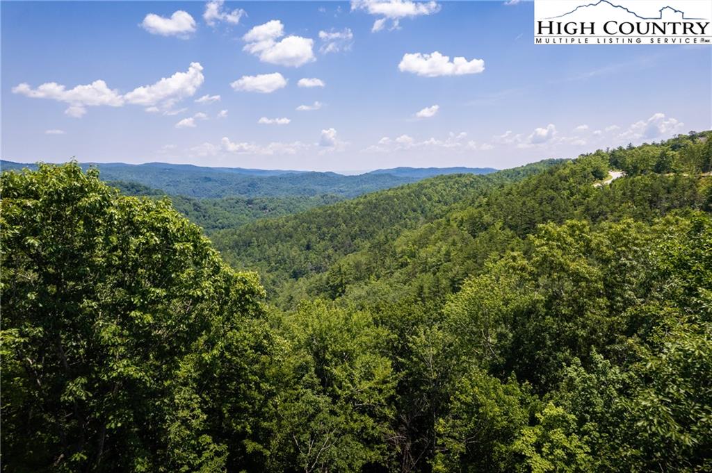 282 Ninebark Road Boone, NC 28607 - Photo 3 of 32 Gallery Image 3