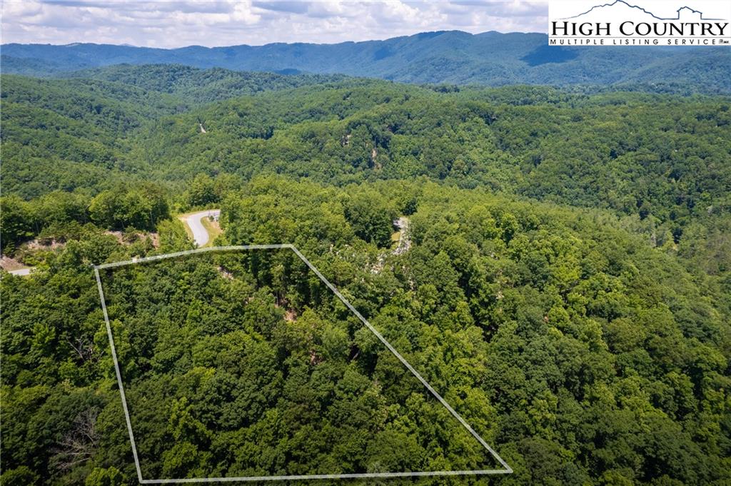 282 Ninebark Road Boone, NC 28607 - Photo 4 of 32 Gallery Image 4