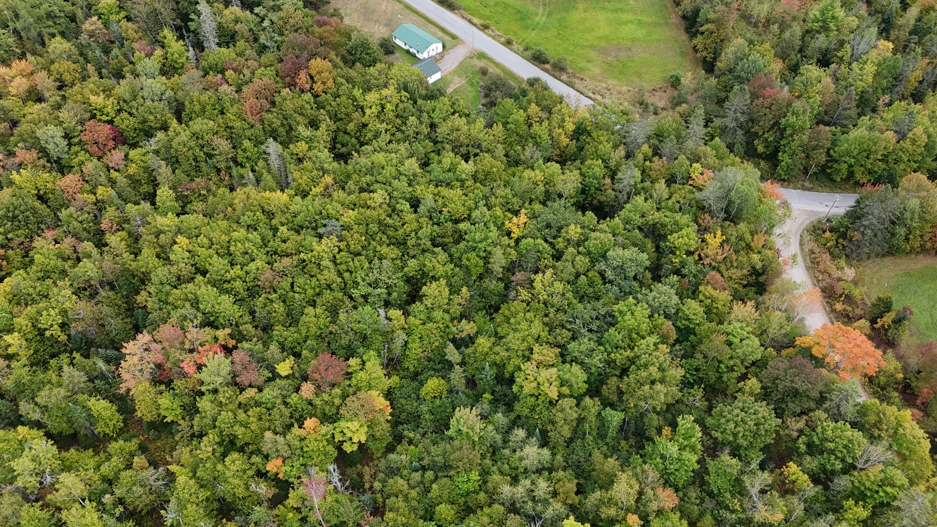 Tbd Stickney Road Wellington, ME 04942 - Photo 3 of 7 DJI_20260918023049_0148_D
