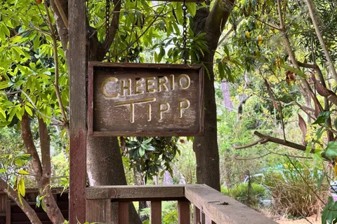 a sign on the side of a tree