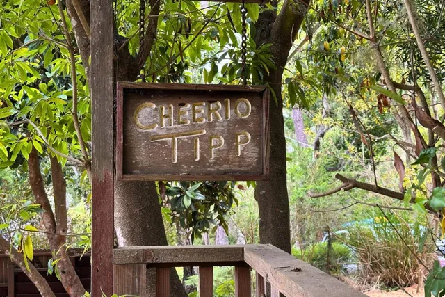 a sign on the side of a tree